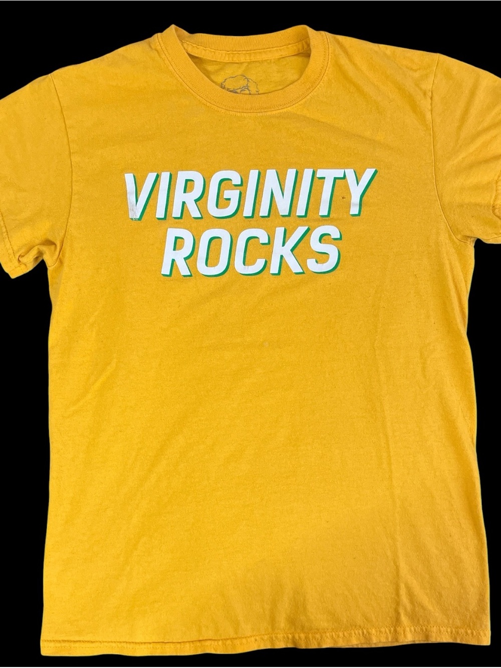 Mens small Virginity Rocks Graphic Tee 100% Cotten pre shrunk!